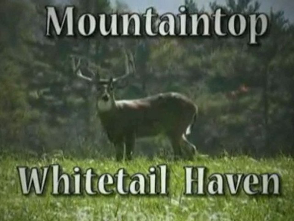 Trophy Hunts PA