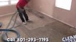 Carpet Cleaners Salt Lake City - Cleaning a dirty rug in 30 seconds