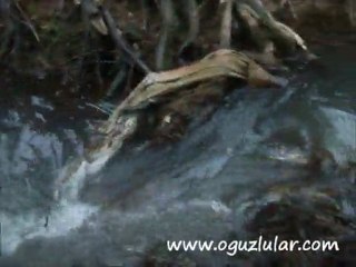 Kurtköy Dere Kenarı