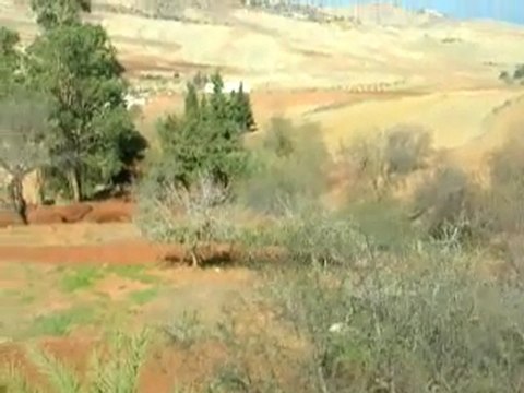 Talilite rif beni oulichek maroc nador rif