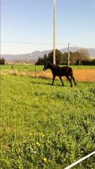 Séance du 2.04.2011 avec Prince