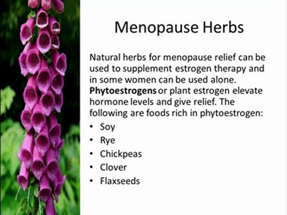 Herbal Remedies For Menopause