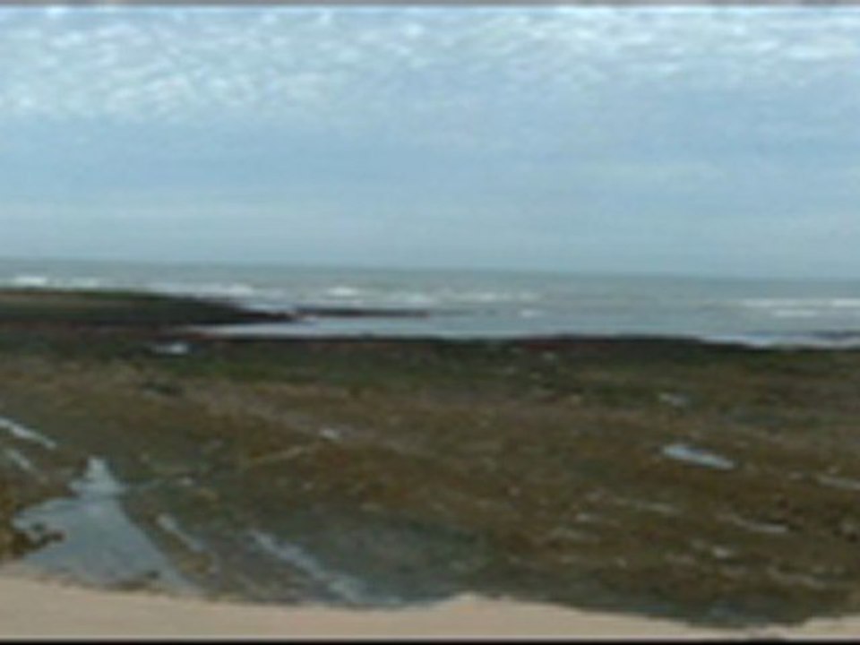 Marée basse
