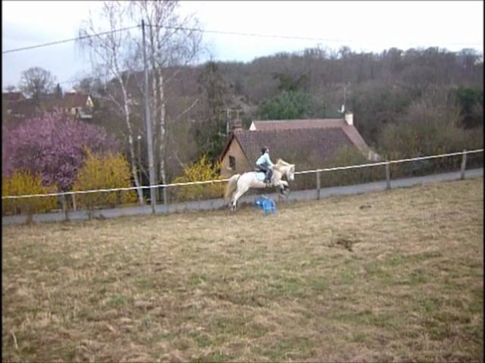Saut obstacle et progres !