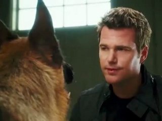 2010 Chris O'Donnell @ Cats & Dogs-Trailer