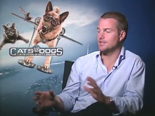 2010.07 Chris O'Donnell @ Cats & Dogs interview-MovieWeb