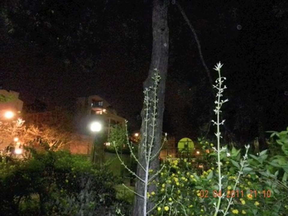 ORBS : TEMPETE D'ORBES ET DE PHENOMENES CONNEXES SUR PARIS