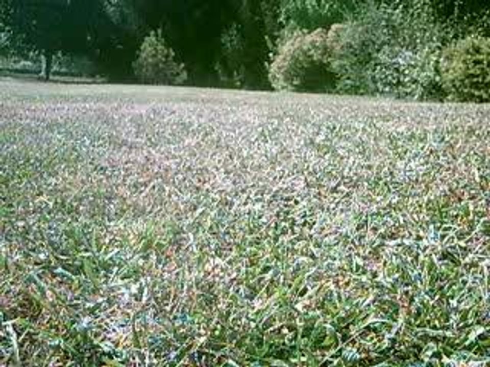 ST1_2006-07-26_small