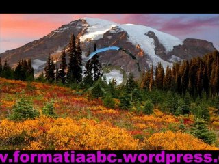 caut formatie - Formatie nunta- Formatia *ABC* - BREAZA