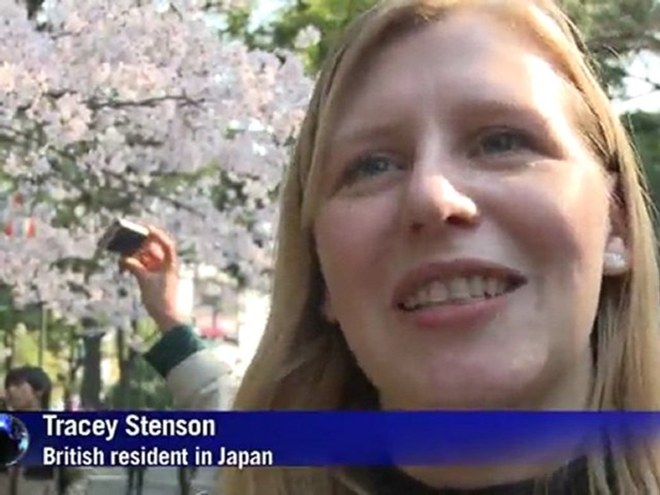 Florecen los cerezos en Japón, pero no hay ánimo de festejos