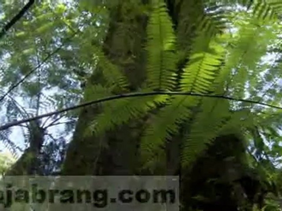 The Great Rift Africa's Wild..._001