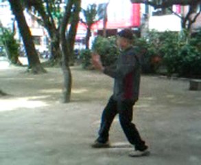 鄭顕気老師による白鶴拳