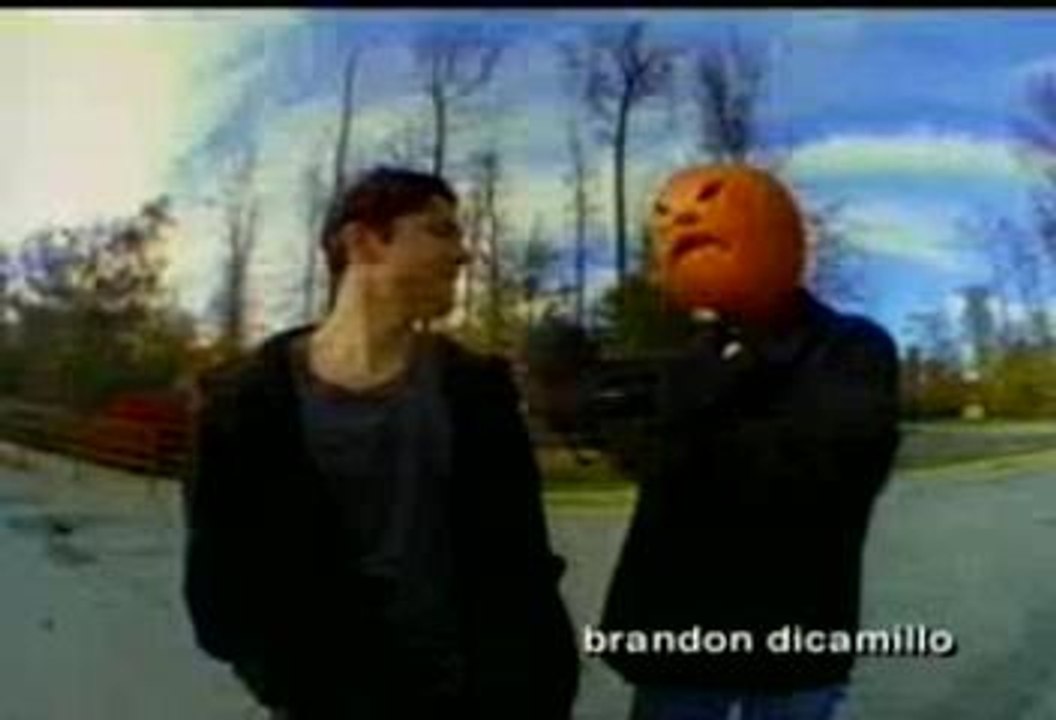 Jackass-ShoppingCarts