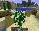 Comment survivre sur Minecraft-Episode 3:Les torches