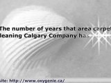 Area Rug Cleaning Calgary: - Rug Cleaning Tips