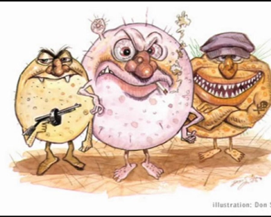 IDOLATRIA EVANGÉLICA NA IGREJA MUNDIAL DO PODER DE DEUS DO BISPO VALDEMIRO SANTIAGO