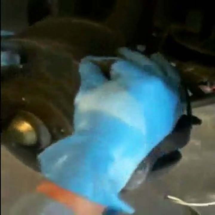 Brakes, Transmission, Diagnose, Alignment, Inspection. Repair. BMW, MINI, MBZ, VW, Audi. Culver City, Los Angeles