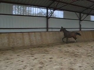 Utopie de candie (Quinoto du bois margot*Rafale de candie)