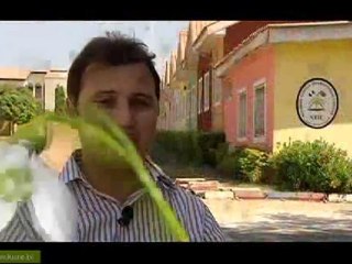 1 YEŞEREN ÜMİTLER NİJERYA 2