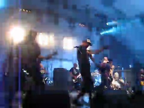 Le bal des enragés Strange 2010