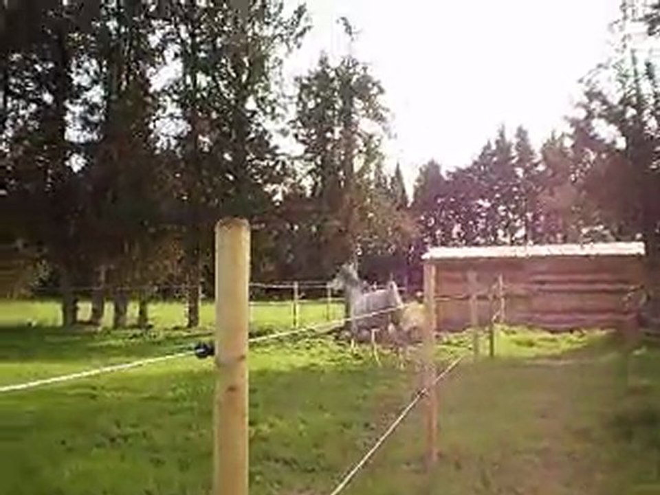 Springtime 2011