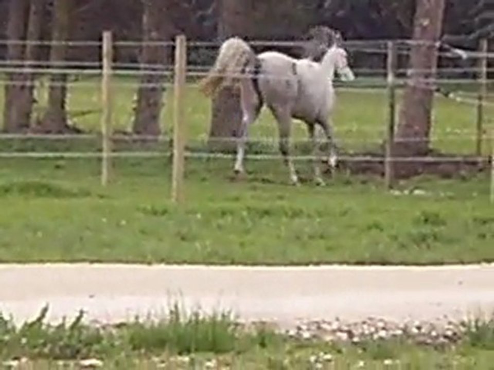 Springtime 2011  2