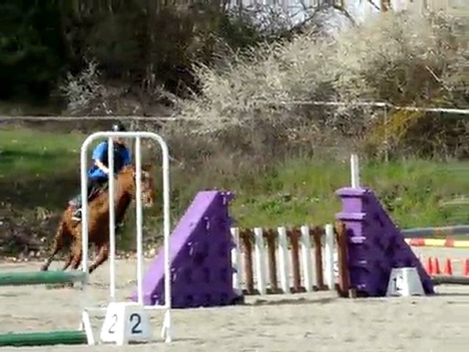 ELORA OLYMPE CSO MANE 04 2011