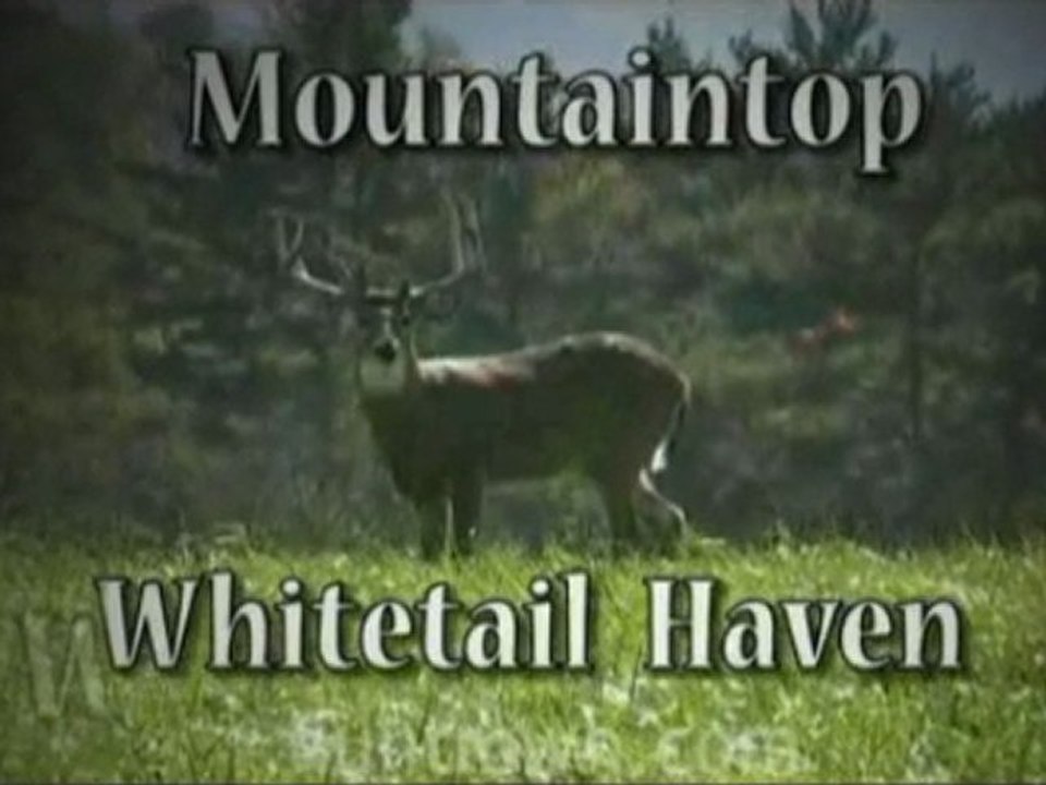 Trophy Hunts In PA