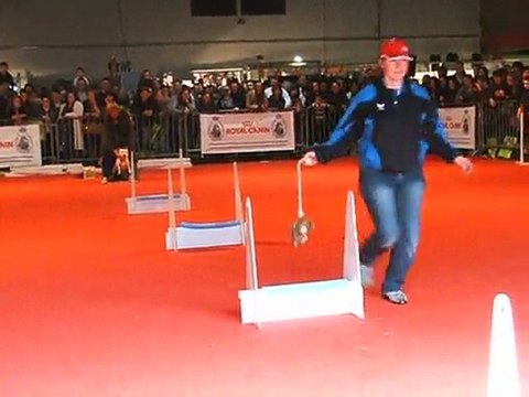 échauffement démo fly - salon Animalia 03/04/2011