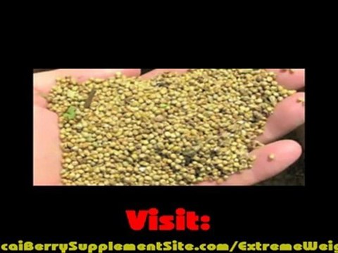 Do Carbs Make you fat Learn How to Lose 20 Pounds in ...