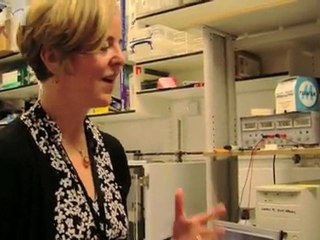 The next generation of HIV monitors