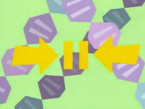 The Ghost in your Genes - Part 3