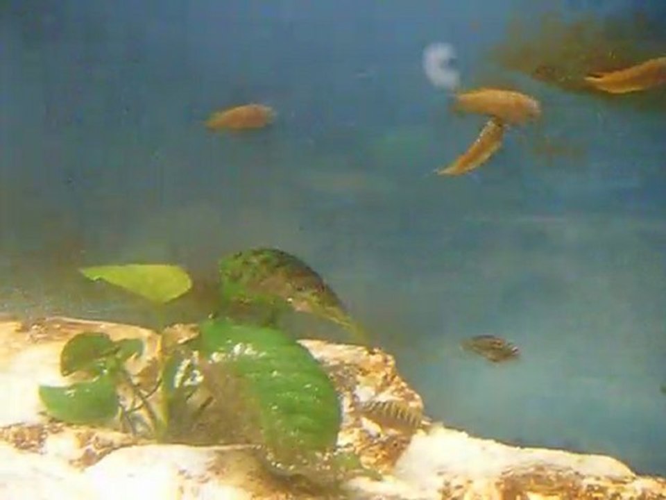 DSCF4028