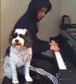 Il cantante dei Green Day suona col suo cane