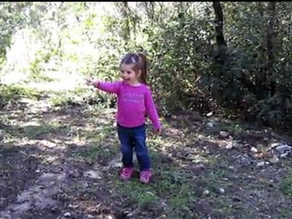 Cache cache au zoo