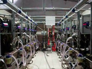 NMS BALIKKILÇIĞI SAĞIM ODASI