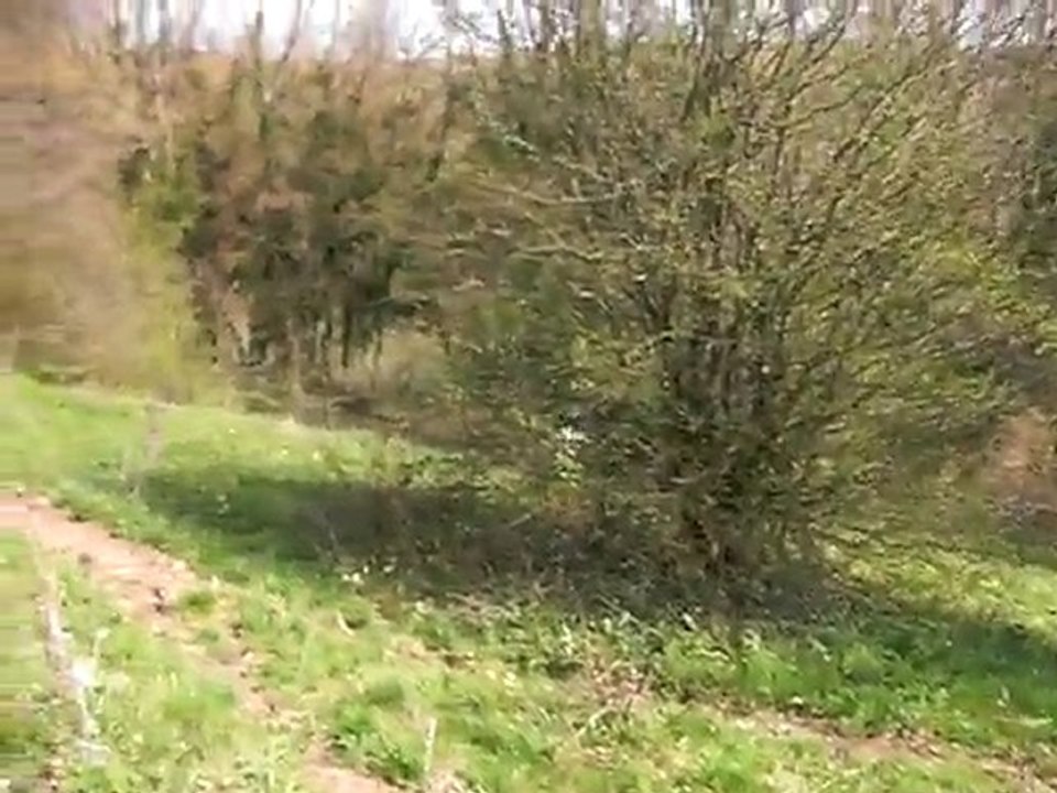 3avril11 paso uvalou 3ha, 2/5
