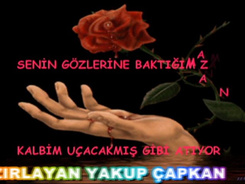 ŞİİRİM 2