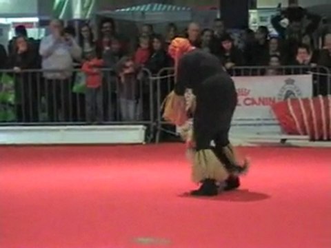 03 04 2011 Démo Obérythmée 2 - CCSLiège - Salon Animalia