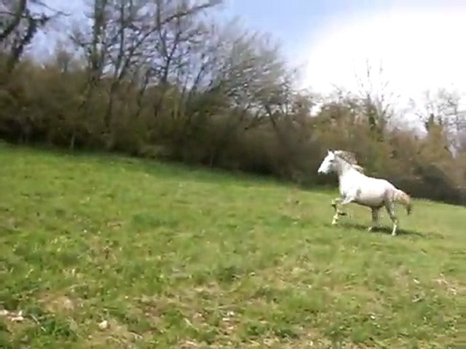 3avril11 paso uvalou lachage dans 3ha, 4/5