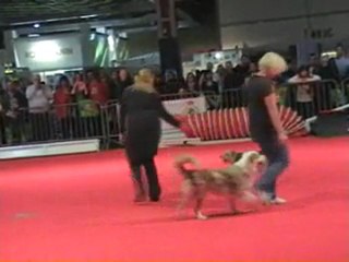 03 04 2011 Démo Obérythmée (groupe) - CCSLiège - salon Animalia