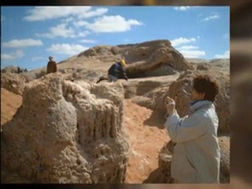 Kairo, Bahariya & Weiße Wüste