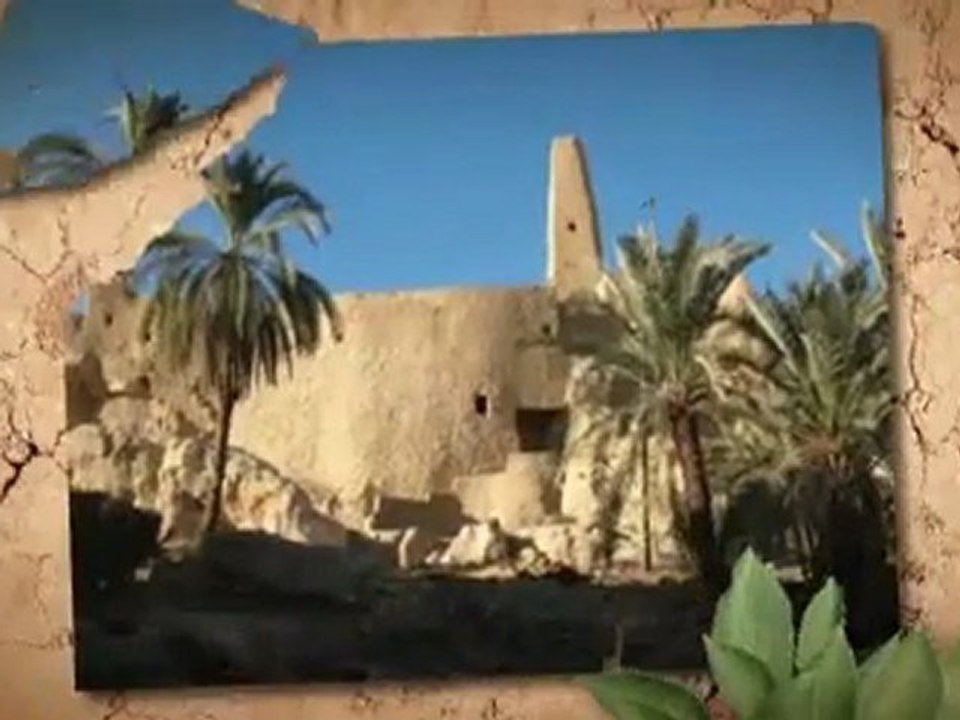 Safari-Reise in die Oase Siwa