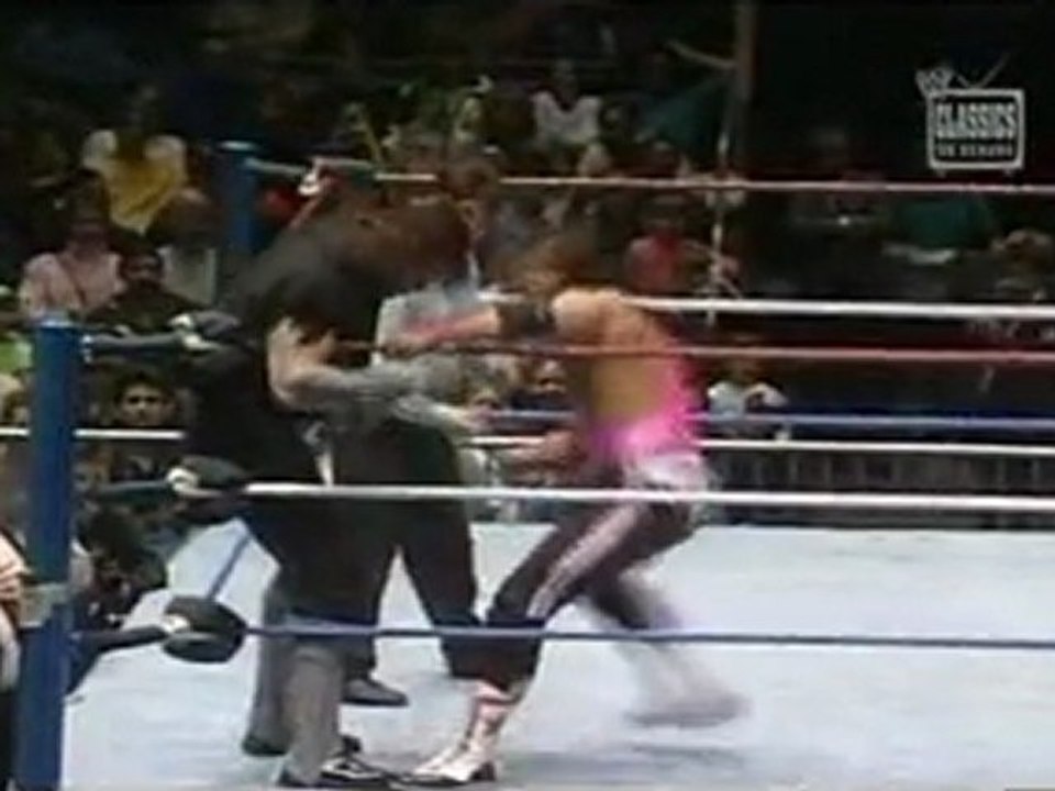 Undertaker Vs Bret Hart