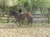 pepette et moi galop a cru 1/04