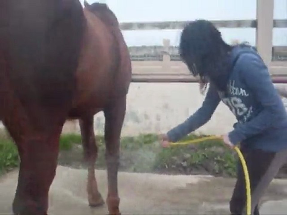 Dimanche, journee equitation avec ma jument.