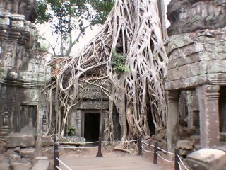 Angkor / Cambodge