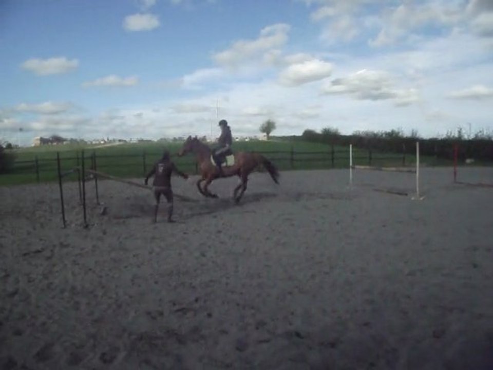 Saut en licol - 1m20