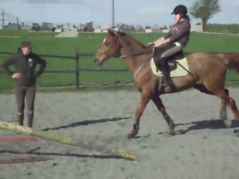 Vertical licol étho