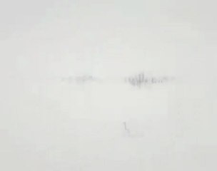 Horrory w SciFi Channel